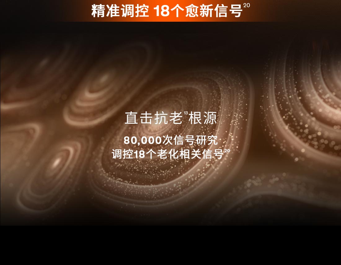 第六代 雪花秀人参霜