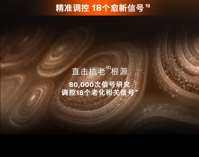 第六代 雪花秀人参霜