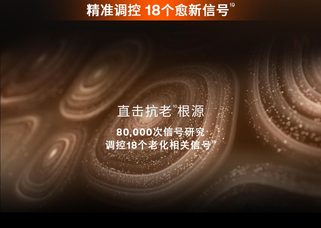 第六代 雪花秀人参霜