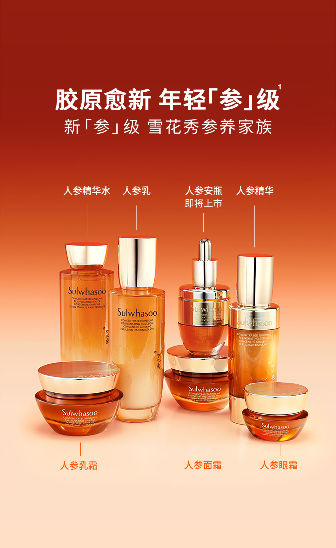 憧れの 雪花秀御时参养精华露- 雪花秀中国 精华/安瓶| 护肤产品- トライアルセット・サンプル