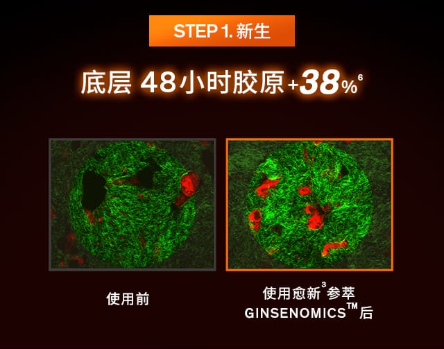 雪花秀御时参养乳霜