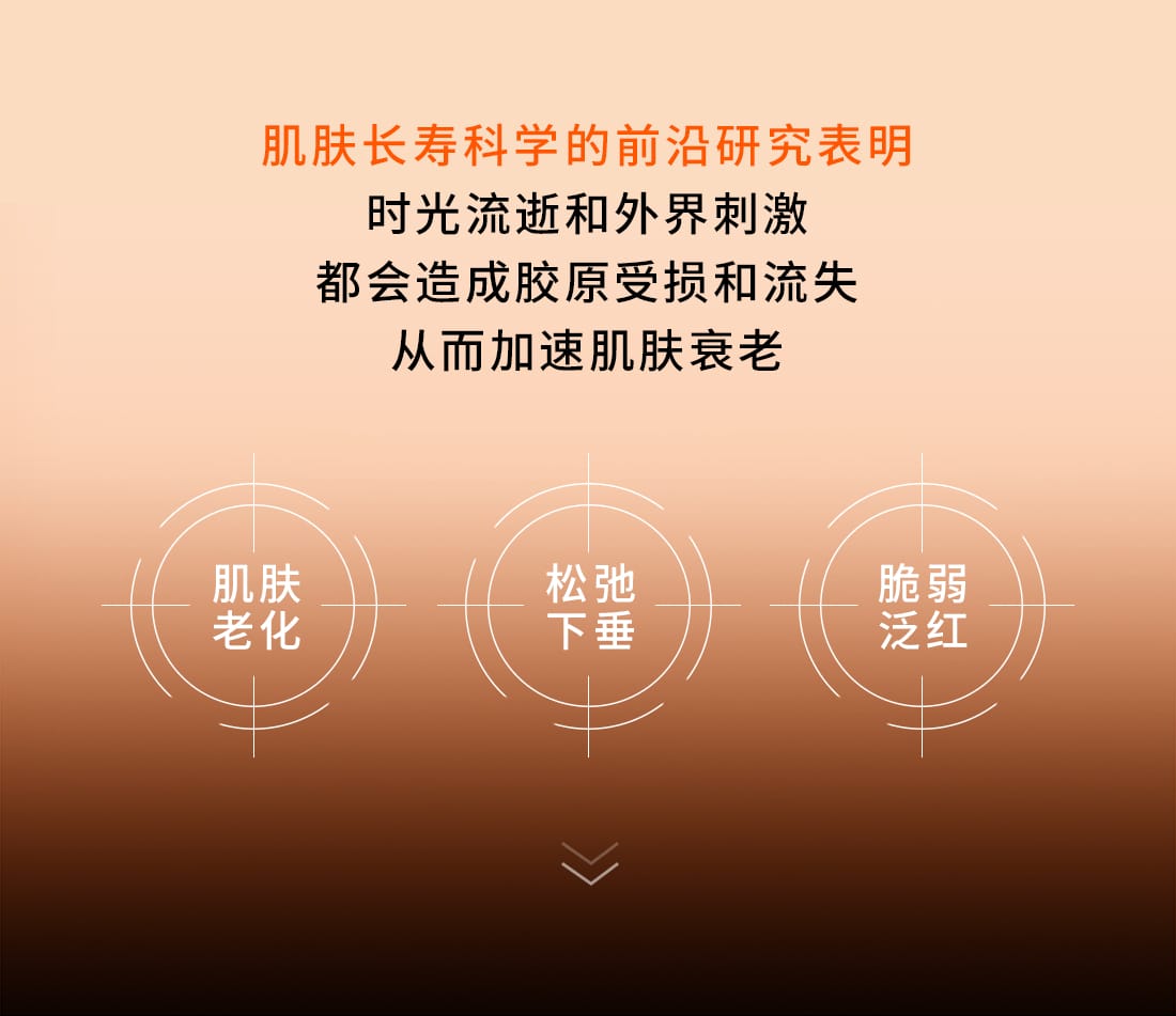 雪花秀御时参养乳