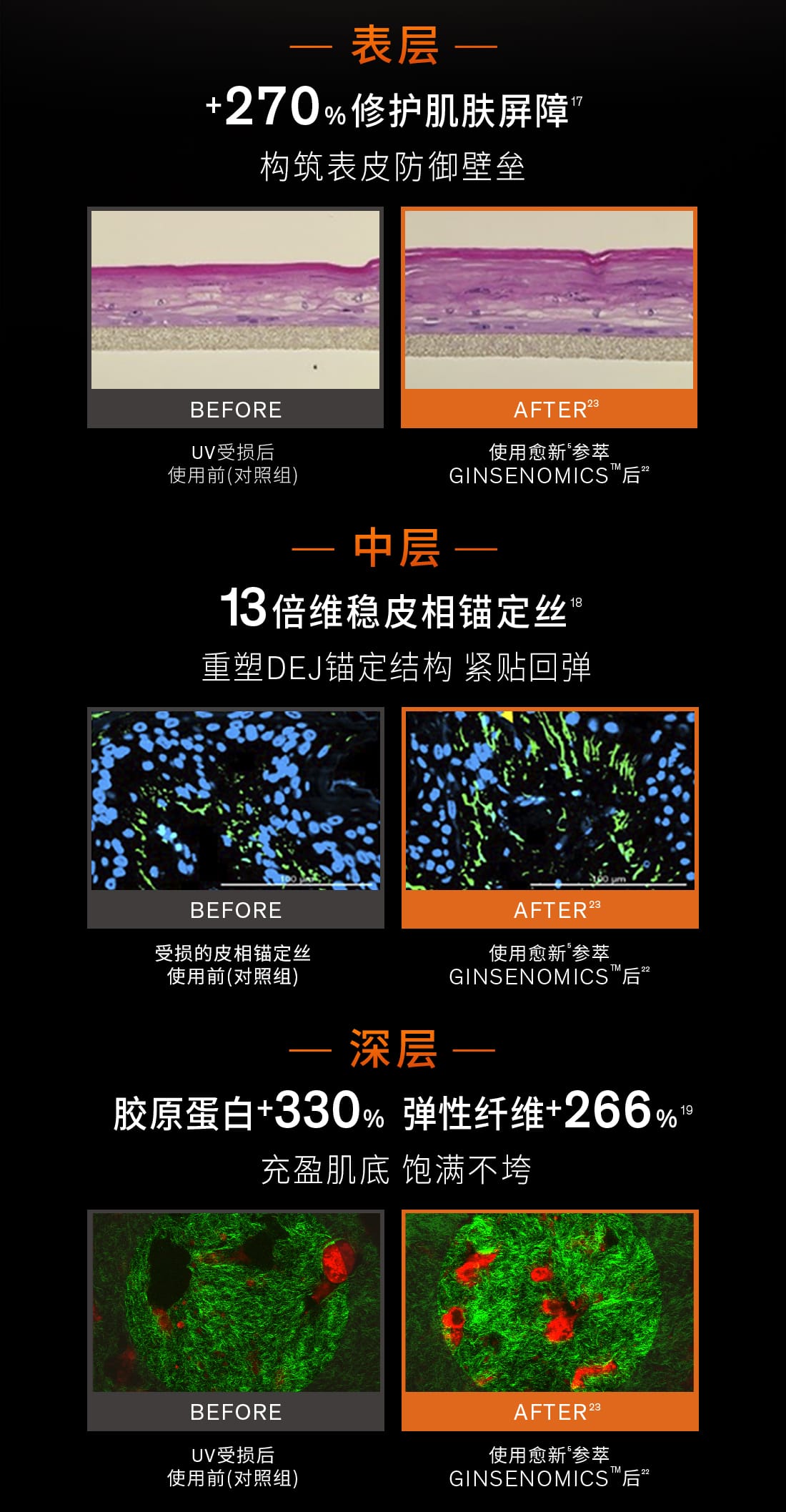 雪花秀御时参养乳