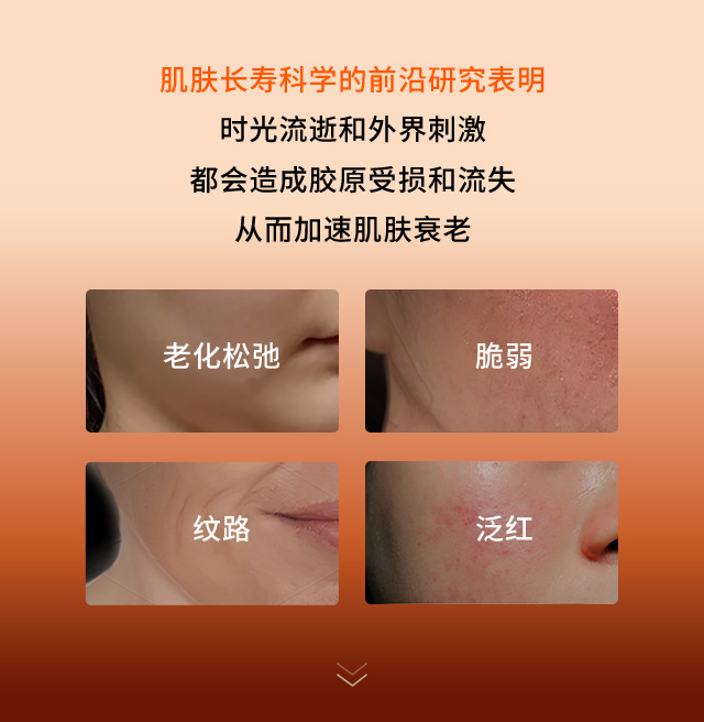 滋盈生人参密集修护精华液