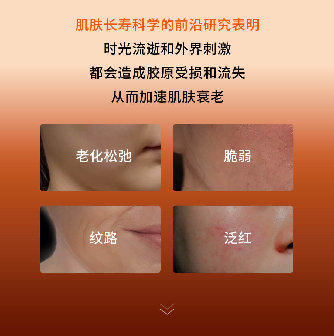 滋盈生人参密集修护精华液