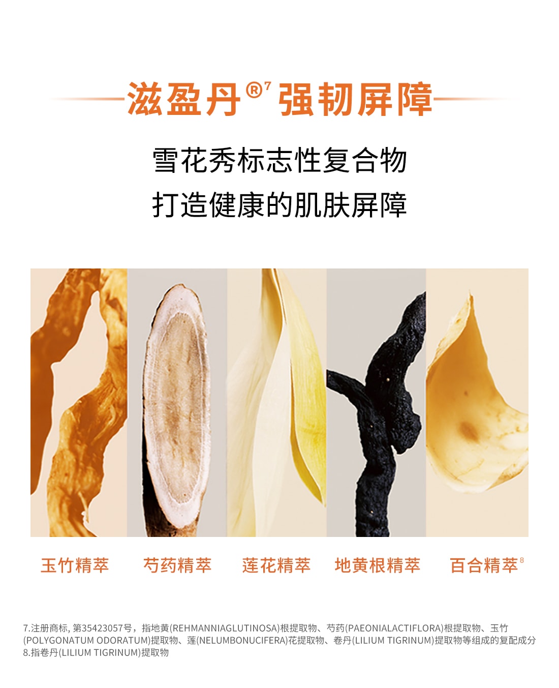 雪花秀与润夜间修护面膜
