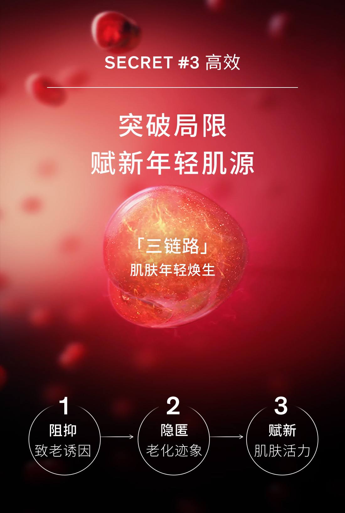 雪花秀菁典臻秀面霜 丰盈版