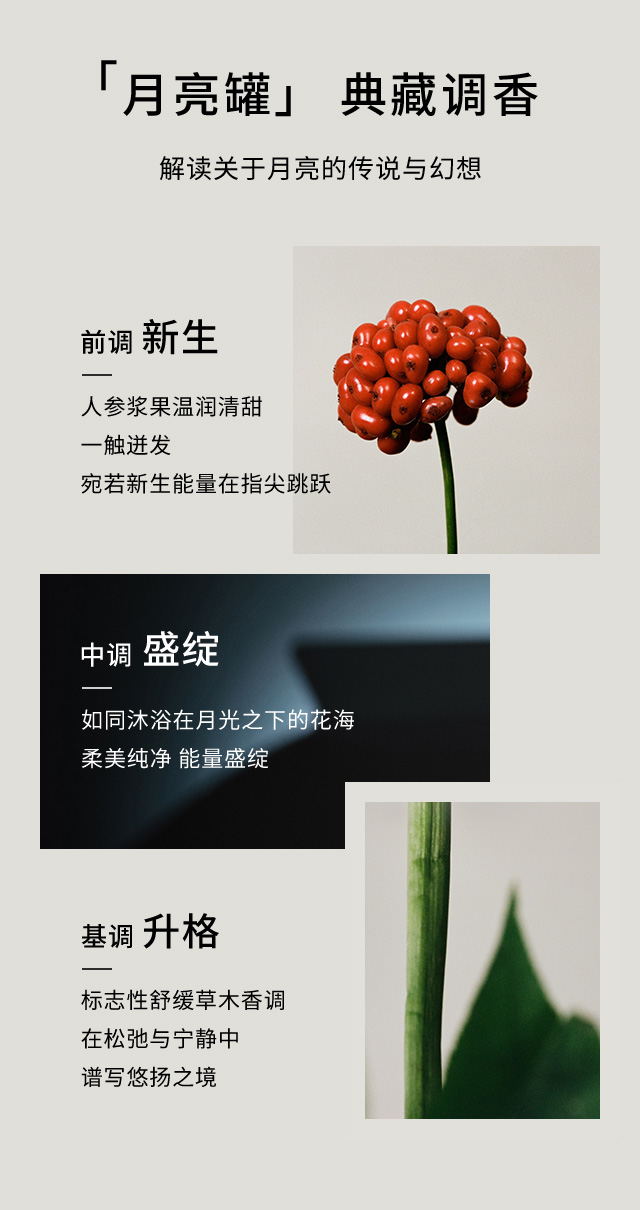 雪花秀菁典臻秀面霜 丰盈版
