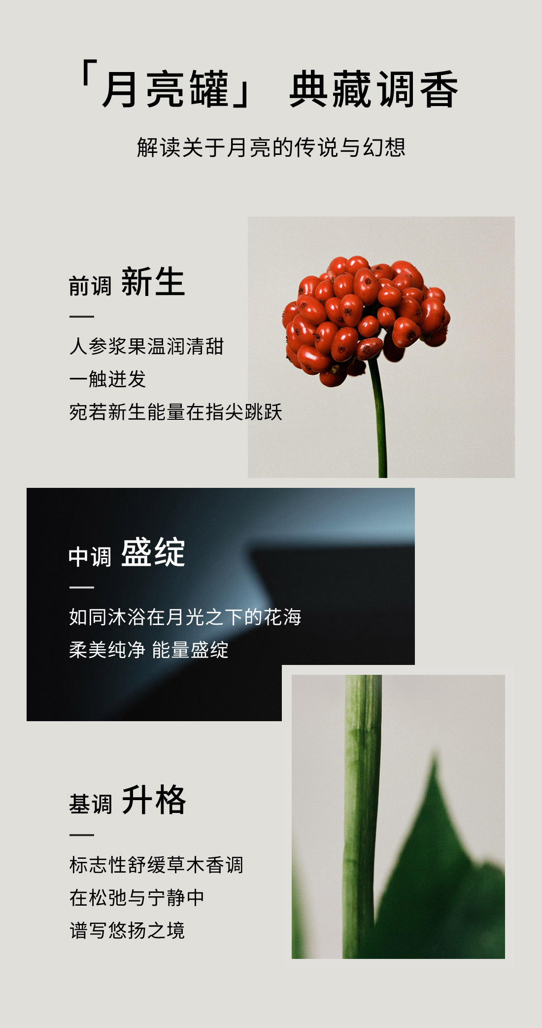 雪花秀菁典臻秀面霜 丰盈版