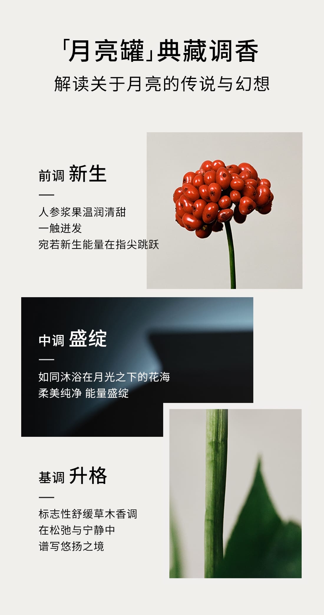 雪花秀菁典臻秀精萃乳