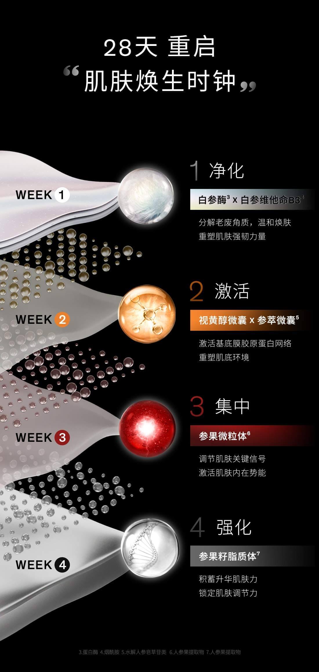 雪花秀菁典臻秀密集精华组