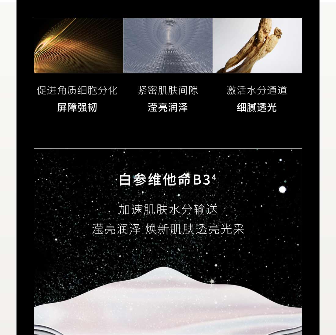 雪花秀菁典臻秀密集精华组