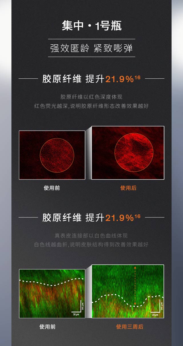 雪花秀菁典臻秀密集精华组